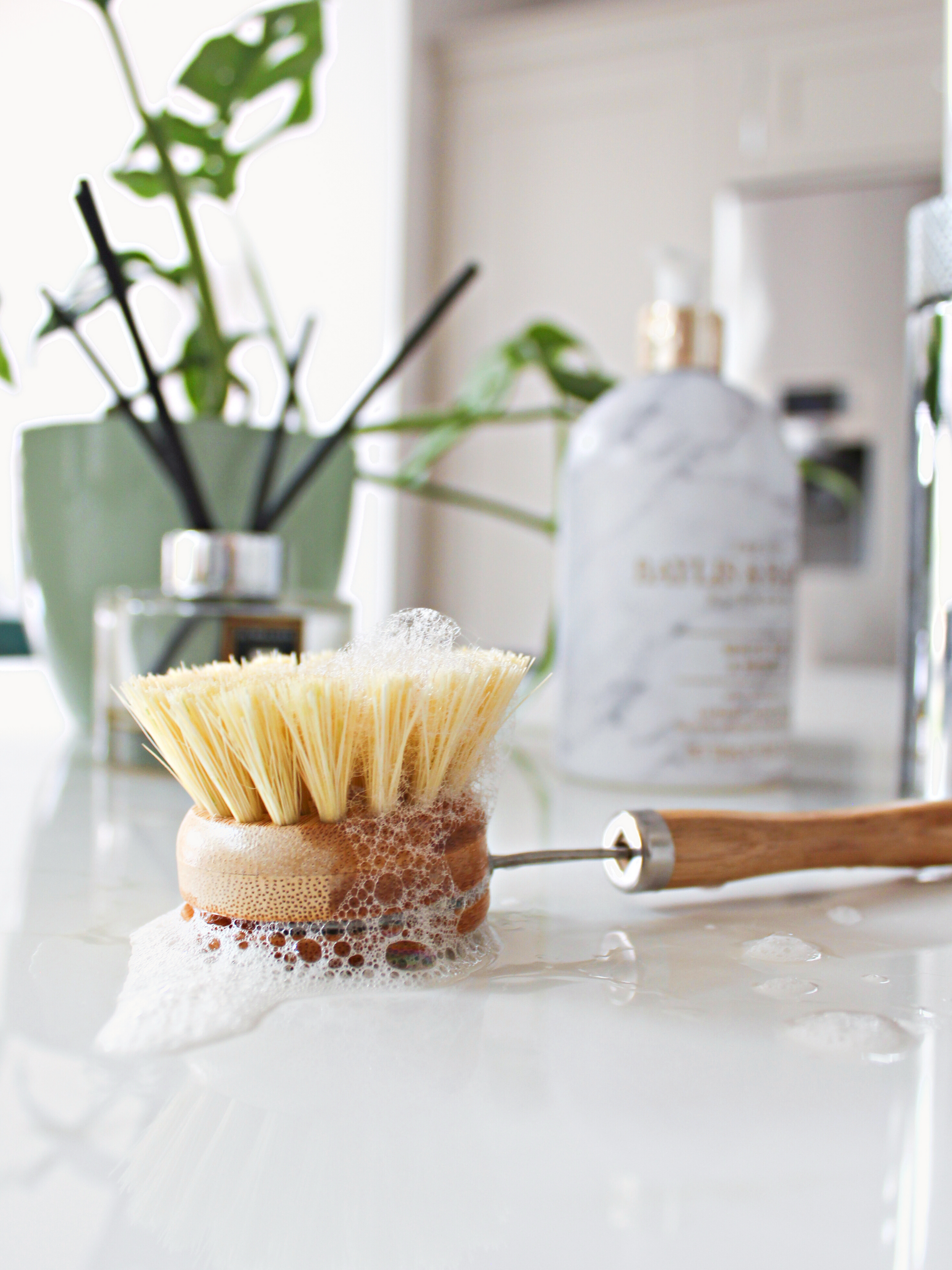 Bamboo Dish Brush